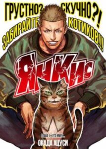 Янкіс / Nyankees