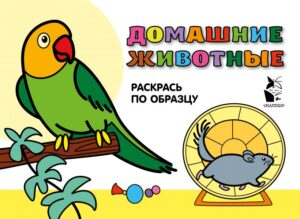 Издательство Эксмо