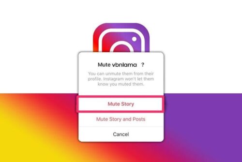 Mute Someone on Instagram
