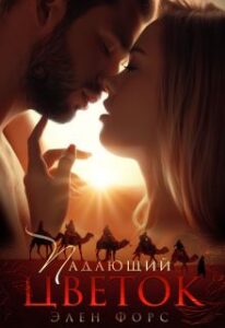 Библиотека java книг - на главную