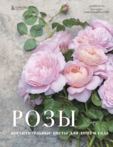 Издательство Эксмо