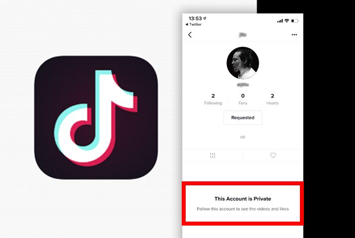How To View Private Tiktok Accounts